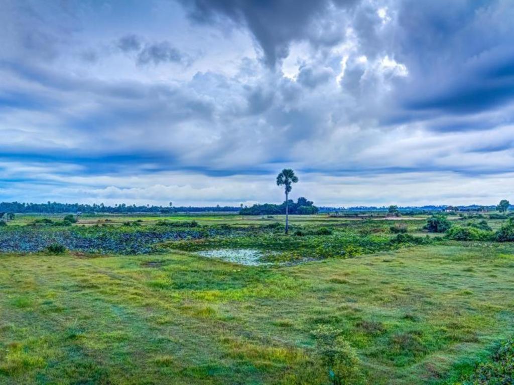 Ry'S Lotus Resort D'Angkor Siem Reap Exterior foto
